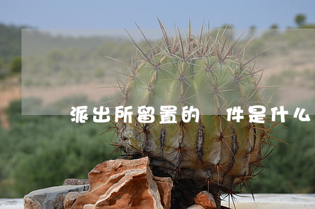 派出所留置的條件是什么