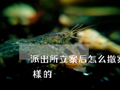 派出所立案后怎么撤案（派出所立案程序是怎樣的）