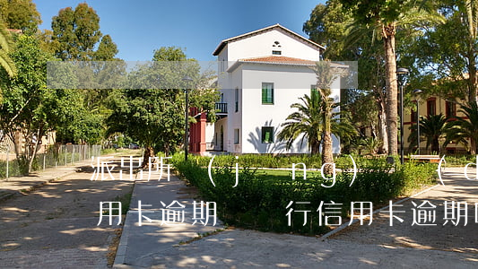 派出所經(jīng)偵隊(duì)管信用卡逾期嗎（銀行信用卡逾期叫你去經(jīng)偵自首）