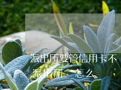派出所要管信用卡不還嗎(信用卡不還通知到派出所會怎么樣)