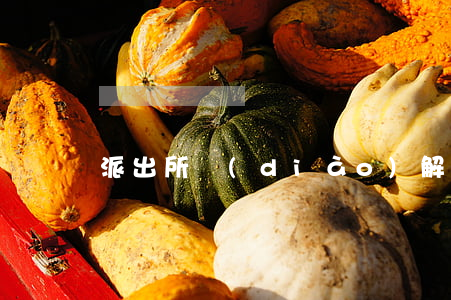 派出所調(diào)解不成馬上拘留嗎