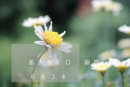 派大星ID貸逾期會不會爆通訊錄-派大星6834