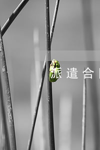 派遣合同糾紛怎么處理