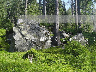 流動資產(chǎn)包括哪些