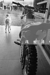 浅析房地产不良资产处置