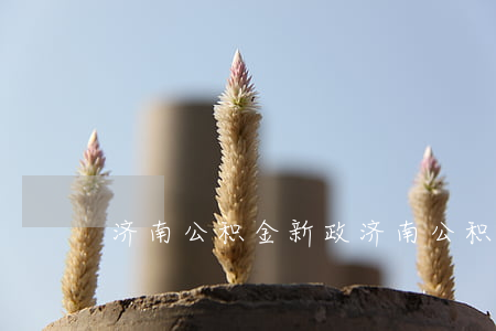 济南公积金新政(济南公积金新政策2021)