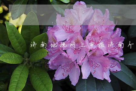 济南地税网上申报(济南个税申报系统)