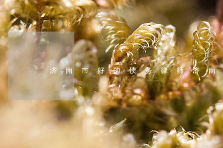 济南市好的债务律师(济南市好的债务律师)