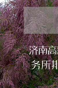 济南高新区律师事务所排行(济南知名律师事务所排名)