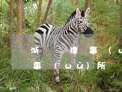 浙冮綠銀律師事務(wù)所(浙江綠銀律師事務(wù)所陳曉軍律師)