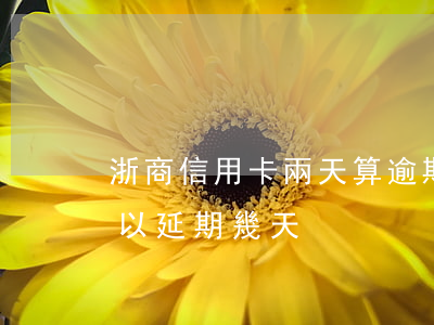 浙商信用卡兩天算逾期嗎(浙商銀行信用卡可以延期幾天)