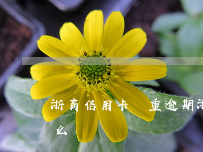 浙商信用卡嚴重逾期(浙商信用卡嚴重逾期怎么辦)