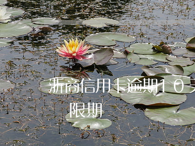 浙商信用卡逾期10天后果(浙商銀行信用卡 寬限期)
