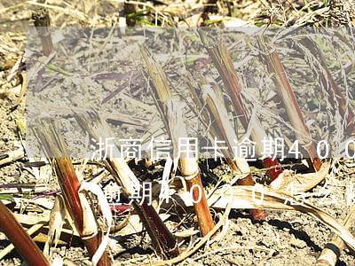 浙商信用卡逾期4000怎么辦(浙商信用卡逾期4000怎么辦)