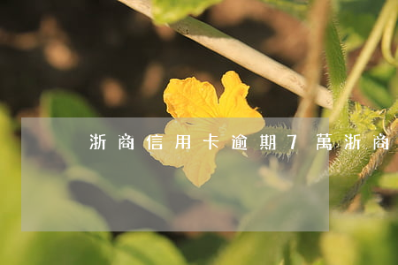 浙商信用卡逾期7萬(浙商逾期四天)