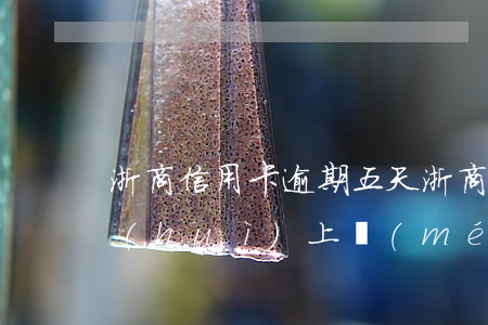 浙商信用卡逾期五天(浙商信用卡逾期五天會(huì)上門(mén)嗎)