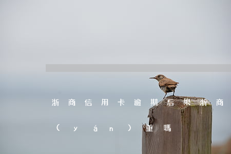 浙商信用卡逾期后果(浙商信用卡逾期后果嚴(yán)重嗎)