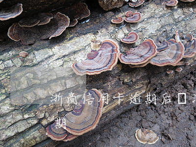 浙商信用卡逾期后還清 浙商銀行信用卡 寬限期