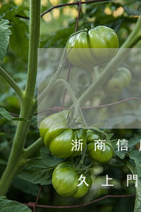 浙商信用卡逾期多久上門(浙商信用卡逾期多久上門)