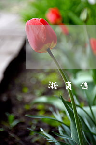 浙商信用卡逾期多久会被起诉