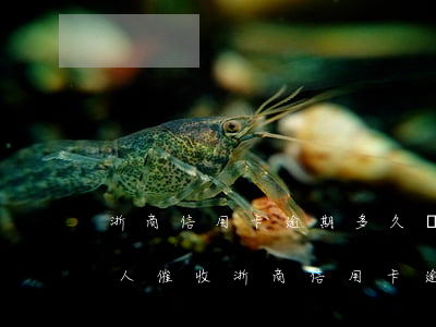 浙商信用卡逾期多久會聯(lián)系家人催收（浙商信用卡逾期多久會聯(lián)系家人）