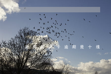 浙商信用卡逾期幾十塊