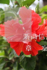 浙商信用卡逾期蓋章報案(浙商信用卡逾期蓋章報案)