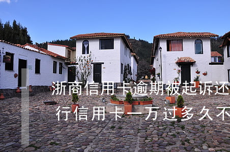 浙商信用卡逾期被起诉还能协商吗(欠浙商银行信用卡一万过多久不还会被起诉)