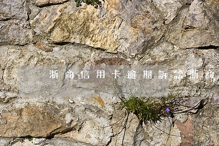 浙商信用卡逾期訴訟（浙商信用卡逾期訴訟）