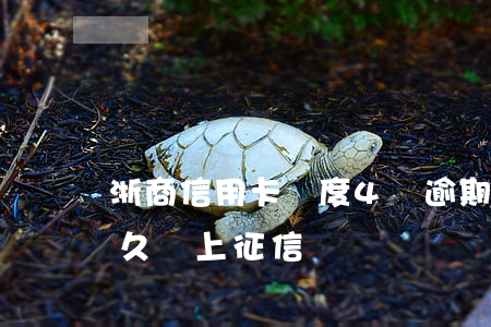 浙商信用卡額度4萬逾期(浙商信用卡逾期多久會上征信)