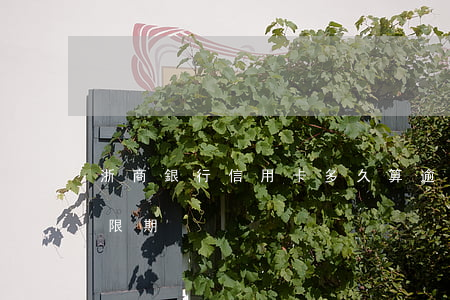 浙商銀行信用卡多久算逾期(浙商銀行幾天寬限期)