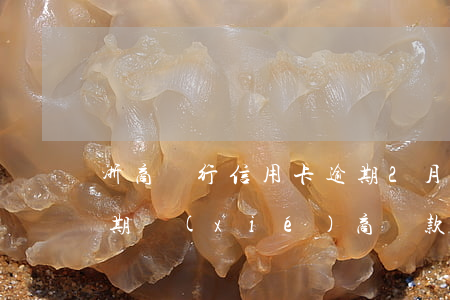 浙商銀行信用卡逾期2月(寧波銀行信用卡逾期協(xié)商還款)