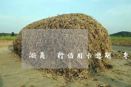 浙商銀行信用卡逾期兩年了(浙商逾期四天)