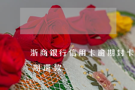 浙商銀行信用卡逾期封卡(浙商銀行信用卡延期還款)