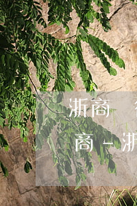 浙商銀行信用卡逾期起訴怎么協(xié)商-浙商銀行信用卡逾期起訴怎么協(xié)商還款