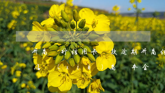 浙商銀行信用卡還款逾期(浙商信用卡逾期可以協(xié)商還本金嗎)