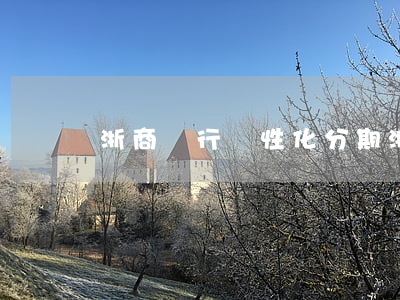 浙商銀行個性化分期(浙商銀行個性化分期)