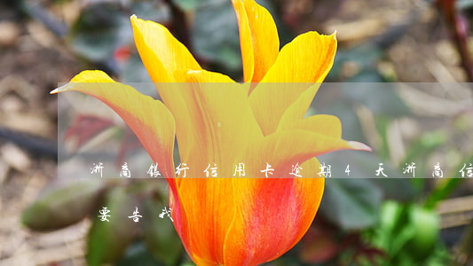 浙商银行信用卡逾期4天(浙商信用卡逾期了要告我)