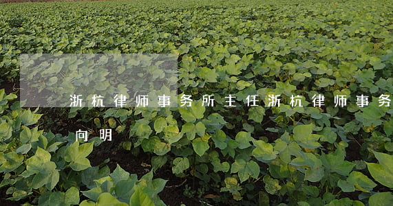 浙杭律师事务所主任(浙杭律师事务所主任沈向明)