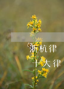 浙杭律師事務(wù)所排名(杭州最有名的十大律師事務(wù)所)