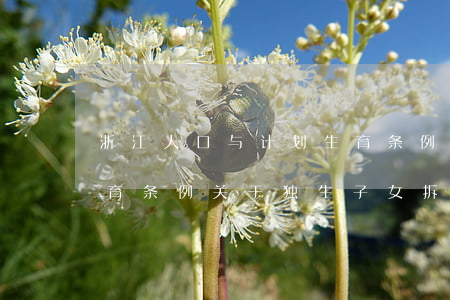 浙江人口与计划生育条例(浙江人口与计划生育条例关于独生子女拆迁)
