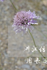 浙江信用卡逾期停息分期申請條件-浙江信用卡逾期停息分期申請條件是什么