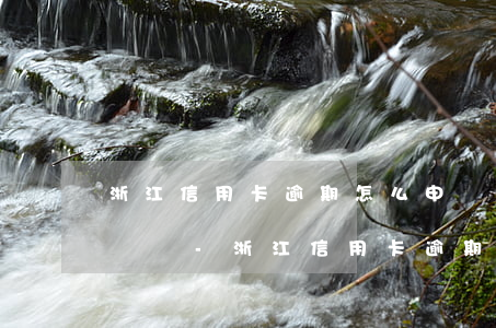 浙江信用卡逾期怎么申請(qǐng)停息掛賬-浙江信用卡逾期怎么申請(qǐng)停息掛賬的