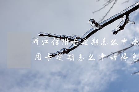 浙江信用卡逾期怎么申请停息挂账-浙江信用卡逾期怎么申请停息挂账的