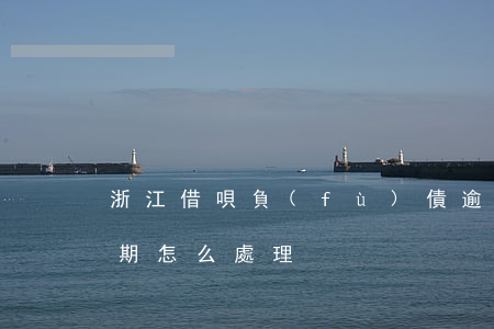 浙江借唄負(fù)債逾期處理方法(借唄逾期怎么處理)