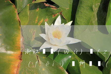 浙江債務(wù)執(zhí)行律師收費(fèi)(臺州債務(wù)律師)