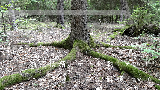 浙江債務(wù)執(zhí)行律師費(fèi)用(臺州債務(wù)律師)