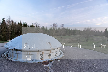浙江債務執(zhí)行律師收費(臺州債務律師)