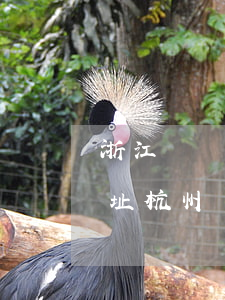 浙江債權(quán)債務(wù)律師地址(杭州債務(wù)糾紛律師費用)