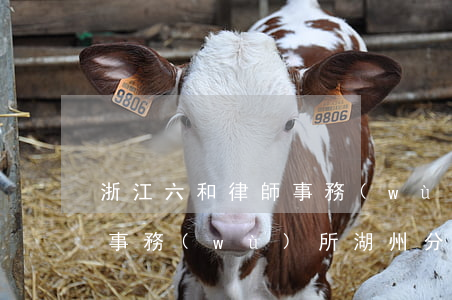 浙江六和律師事務(wù)所(浙江六和律師事務(wù)所湖州分所)